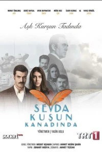 Любовь на крыльях птицы - постер