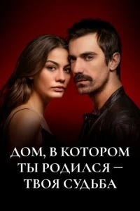 Мой дом - постер