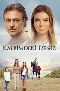 Дениз в моём сердце - постер